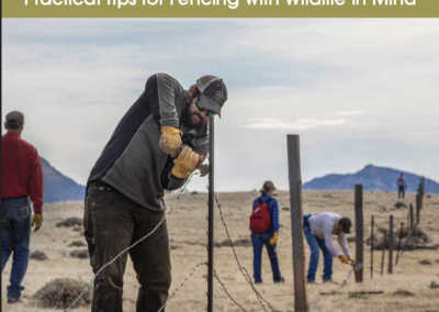 A Wyoming Landowner’s Handbook to Fences & Wildlife
